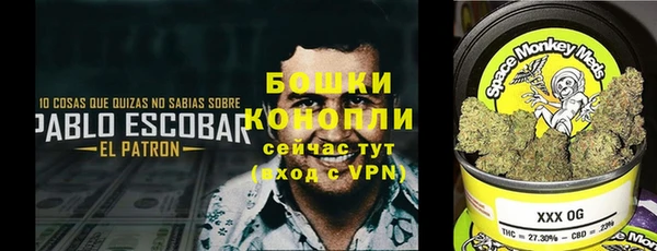 МДПВ Алексеевка