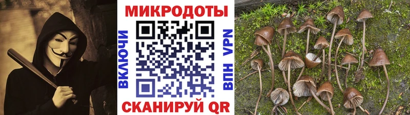 Галлюциногенные грибы Psilocybine cubensis  купить   сайты даркнета наркотические препараты  Урай 
